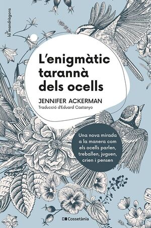 L'ENIGMATIC TARANNA DELS OCELLS